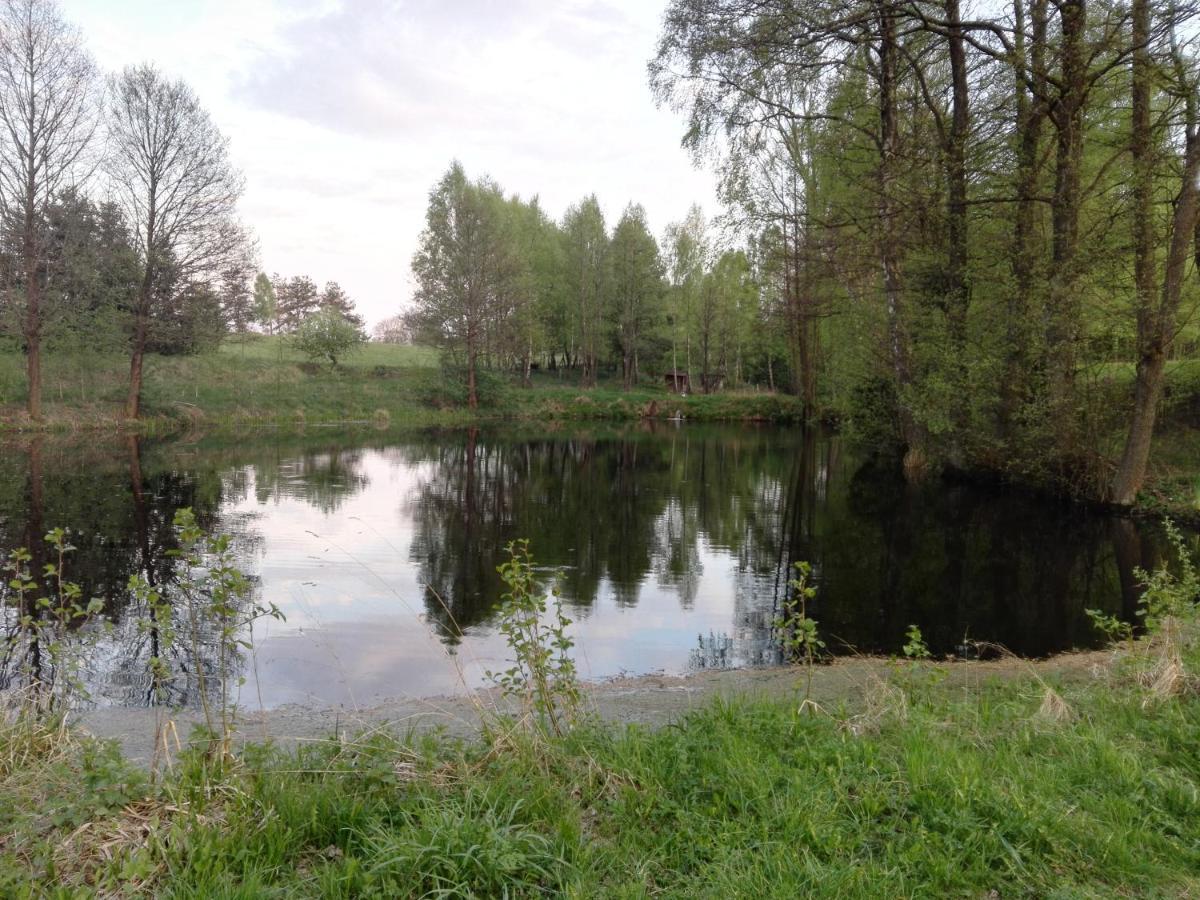 Kaszubska Dolina Pieciu Stawow Villa Wiele Buitenkant foto